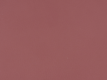 Canyon Red