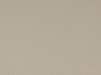 Saloon Brown