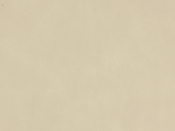 Lawn Beige