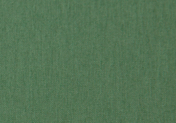 Cactus | Tropical Collection
