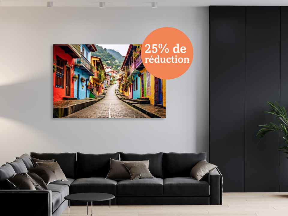 Black-Friday-reduction-Profotonet-decoration-murale-v2