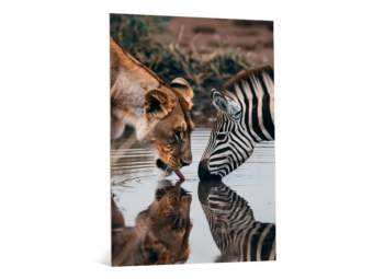 Foto-op-dibond-productfoto2