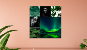 Website - 1130x565 - uitgelicht - blog -fotocollage-maken