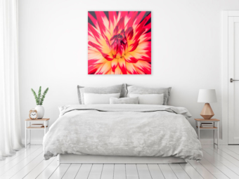 Directdruk op plexiglas aan de muur | Profotonet