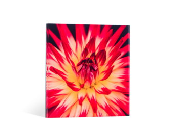 Directdruk op plexiglas | Profotonet