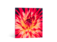 Directdruk op plexiglas | Profotonet