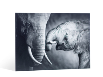 Polystyreen productfoto | Profotonet