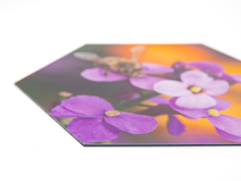 Hexagon dibond close-up | Profotonet