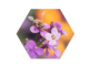 Hexagon dibond | Profotonet