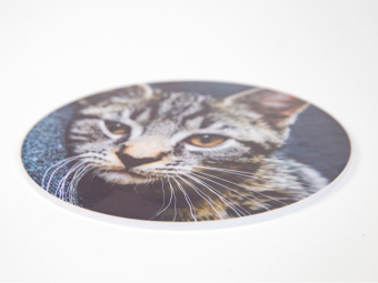 Ronde wanddecoratie op forex | Profotonet