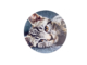 Ronde wanddecoratie | Forex fotomuur | Profotonet