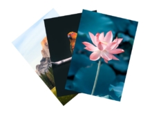 Fine-art-prints-fotoafdrukken