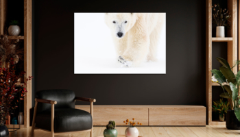 5 Redenen waarom wanddecoratie een origineel en uniek fotocadeau is voor Vaderdag